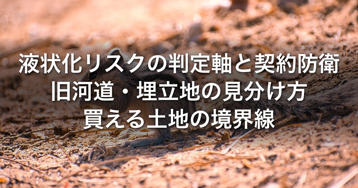 【投資家解説】液状化リスクの判定軸と契約防衛｜旧河道・埋立地の見分け方と買って良い土地の境界線